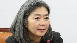 김행 “尹 퇴진 촛불집회, 민주당 배후 밝혀지면 수사해야”