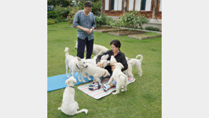 文, ‘김정은 선물’ 풍산개 3마리 국가에 반납 통보