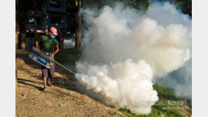 해외여행 규제 풀리자…모기 매개 감염병 유입 늘었다