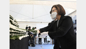 용산구청장 “핼러윈 대책회의, 관례상 부구청장이 주재”