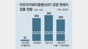 아프리카돼지열병 차단에 한계… 年 40억 ‘멧돼지 울타리’ 존치해야 할까