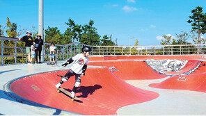 신나는 스케이트보드