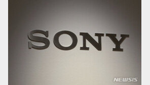 소니, 내년부터 플라스틱 포장재 안 쓴다…日 전자 대기업 중 처음