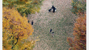 서울 16.5도 ‘포근한 가을’…일교차 10도 이상 ‘건강 주의’