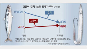 ‘국민 생선’ 고등어 수요 증가에 값 뛰고 ‘귀한 반찬’ 갈치는 소비 줄어 가격 내려 