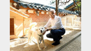 풍산개 ‘곰이’·‘송강’ 모두 양호한 상태…경북대 동물병원서 검사 중