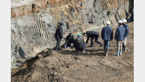 경찰, ‘봉화 광산 매몰사고’ 원·하청업체 압수수색