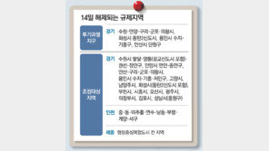 인천-세종 등 규제 해제… 미분양 우려에 PF보증 10조로 확대 