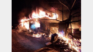 “평생 모은 돈이…” 노부부 간청에 불길 뛰어든 소방대원들