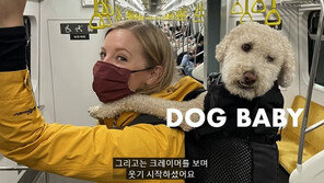 韓 여행 중 노부부에 1만원 받은 美 유튜버 “부랑자로 보였나, 불편”