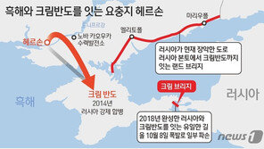 우크라, 헤르손 함락 8개월 만에 수복…젤렌스키 “역사적인 날”