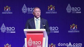 정의선 현대차그룹 회장, ‘B20 서밋’ 기조연설