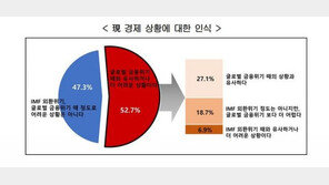 경제전문가 절반 “2008년 금융위기 때보다 어렵거나 비슷”