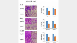 [전문가 기고]암(癌) 치료제 발굴의 무한한 가능성, 해양생물에서 찾다