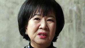 ‘목포 투기’ 손혜원, 벌금 1000만 원 확정