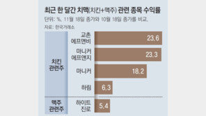 월드컵 수혜 ‘치맥株’ 날았다… 치킨기업 투자 ETN도 나와