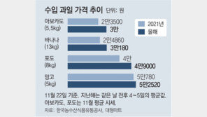 수입과일 가격 보니… “선뜻 손이 안가요”