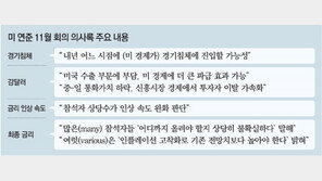 美도 금리 속도조절론… 내달 빅스텝 전망, 연준 “강달러→亞경제 위축→美경제 역풍”