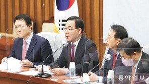 與 원내대책회의