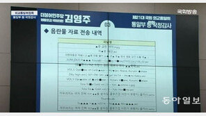 [단독]法 “‘업무용 PC에 음란물 보관’ 민주평통 직원에 감봉 3개월 처분 적법”