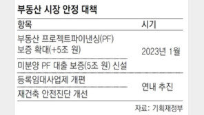 “등록임대-재건축 안전진단 규제완화”