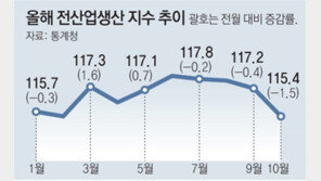 10月 全산업생산 1.5% 줄어 30개월만에 최대폭 감소