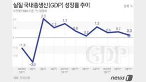 3분기 GDP 성장률 0.3%…“4분기 약간 역성장해도 연간 2.6%”