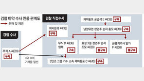 남양유업 3세 등 대마초 적발… 재벌가 또 ‘마약 스캔들’