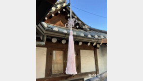 [고양이 눈]처마 밑 매듭