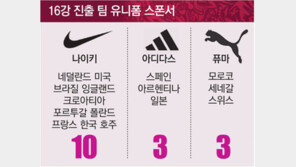 ‘나이키 유니폼’ 16강 중 10팀 기세등등… 아디다스, 급히 독일 유니폼 반값 판매