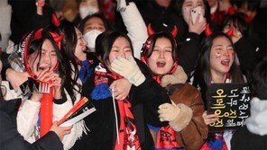 시민들 “연차 내고 브라질전 응원할것” 주말내내 16강 ‘감격’ 