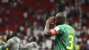 케인도 터졌다…잉글랜드, 세네갈 3-0 꺾고 프랑스와 8강서 격돌