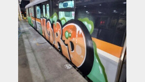 ‘전국 6곳 지하철 전동차에 스프레이 낙서’ 20대 미국인, 루마니아서 검거