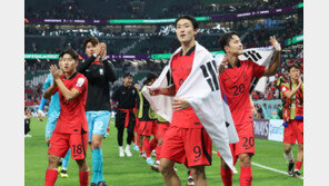 조규성에 심기 불편한 日…“일본 16강 얄밉다는 발언, 부적절”