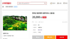 ‘3년만 야간산행’ 한라산 1월1일 등반예약 온라인 매물로