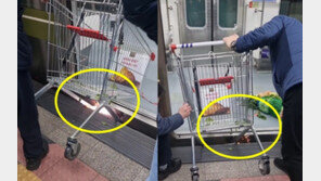 쇼핑카트 끌고 지하철 타려던 노인…승강장 틈 바퀴 빠져도 물건만 ‘줍줍’