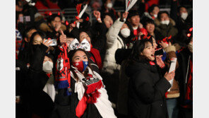 브라질전 광화문 거리응원에 경찰기동대 380명 배치…안전관리 강화