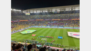 온통 노란색…한국-브라질 16강전 ‘삼바 카니발이 따로 없네’