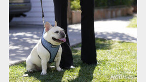 레이디 가가의 애완견 강도 美총격범 21년형 선고받아