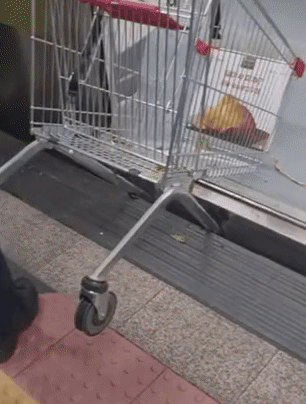 쇼핑카트 끌고 지하철 타려던 노인…불꽃 튀는 등 ‘아찔 사고’ (영상)