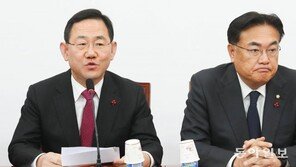 與, ‘수도권·MZ 당대표론’ 파장 지속… ‘한동훈 차출설’ 논란도