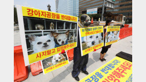 동물 학대자 양육 제한한다…수입·판매·장묘업도 허가제로