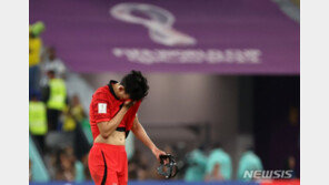 한일, 월드컵 16강 패배에…中네티즌들 “두들겨 맞았다” 비아냥