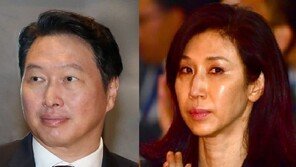 법원 “최태원, 노소영에 재산분할 665억…이혼 위자료는 1억”