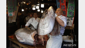 日, ‘엔저’ 덕에 농수산식품 수출 호조…중국이 가장 많이 사들여