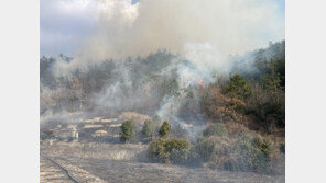 해남 계곡면서 산불…거센 불길에 진압 난항