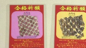 日, 아나콘다 뱀 껍질로 만든 ‘수험생 합격’ 부적 570원에 판매