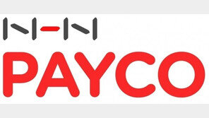 금감원, ‘서명키 유출’ 페이코에 소비자 주의보…현장점검도 착수