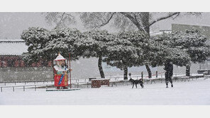 오늘은 대설… 중부지방에 눈-비