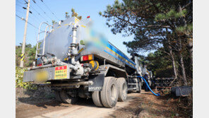 11월 기온 50년 만에 가장 높았다…첫눈은 평년보다 10일 늦어